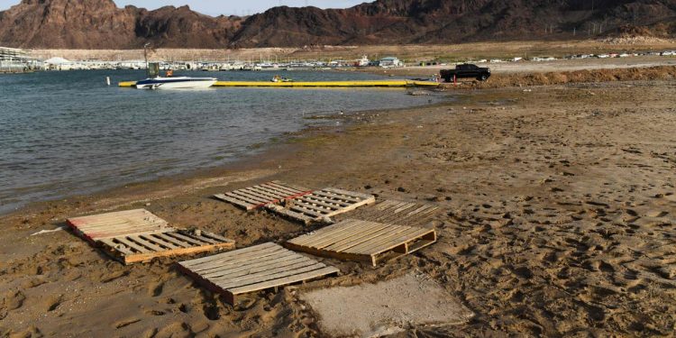 Encuentran M S Restos Humanos En Playa Del Lago Mead Tras Sequ A En