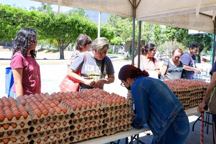 Estos Son Los Lugares En Donde Puedes Encontrar Los Agromercados Con