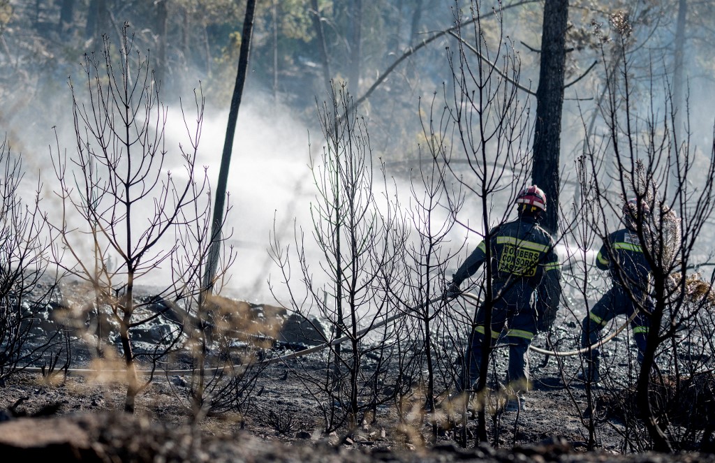 Más de 100 incendios forestales provocados arden en el norte de España