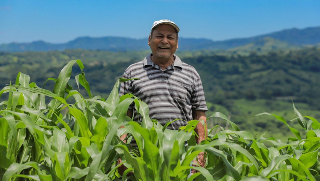 Gobierno de El Salvador busca reducir costos de alimentación de