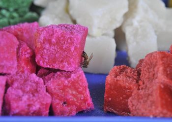 La COVID-19 amarga la producción de dulces típicos