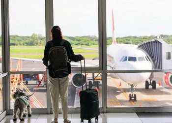 Aeropuerto de El Salvador atendió 68,000 pasajeros desde su reapertura de actividades