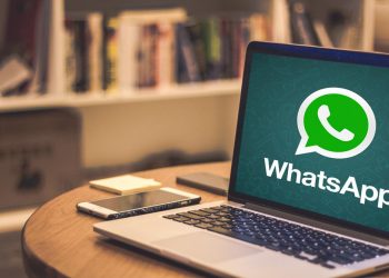 ¡Novedades en WhatsApp! Una próxima versión incluirá videollamadas desde WhatsApp Web