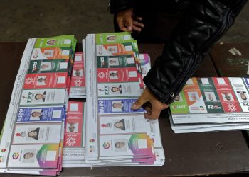 Presidenta de Bolivia pide «paciencia» por lentitud en resultados de elección