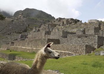 Tras siete meses en silencio, Machu Picchu reabre al turismo