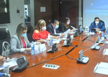 Comisión evaluará nuevos tipos penales en ley contra delitos informáticos