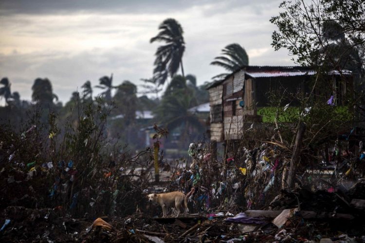 FOTO /AFP