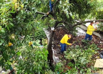 Reos en fase de confianza limpian quebradas y talan árboles en comunidades de San Salvador