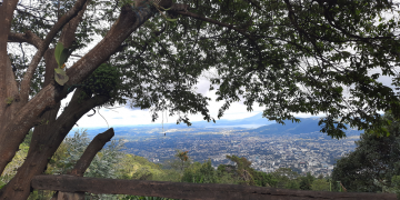 Cuatro cafés que debes visitar en El Boquerón