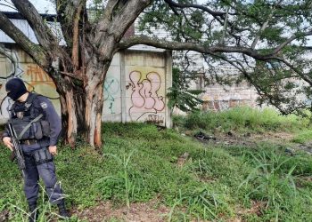 Autoridades encuentran cadáveres en Soyapango y en La Vega