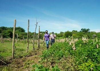 135 viviendas serán reconstruidas para beneficiar a familias afectadas por deslave de Nejapa