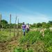 135 viviendas serán reconstruidas para beneficiar a familias afectadas por deslave de Nejapa