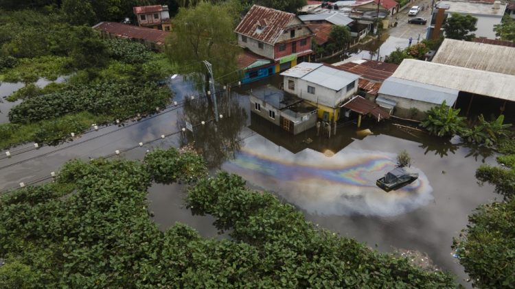 FOTO/AFP