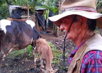 El relato de don Carmelo que despertó el espíritu altruista de los salvadoreños