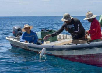 Gobierno destinará $2.2 millones para ayudar a pescadores afectados por Eta