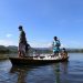 Pesca artesanal e industrial retoma sus actividades a escala nacional