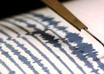 Sismo magnitud 5,9 sacude zona montañosa en Argentina