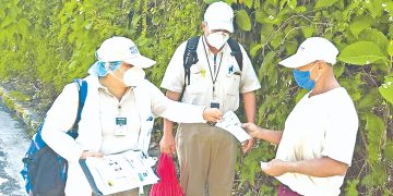 Minsal: casos de dengue han disminuido este año