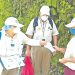 Minsal: casos de dengue han disminuido este año