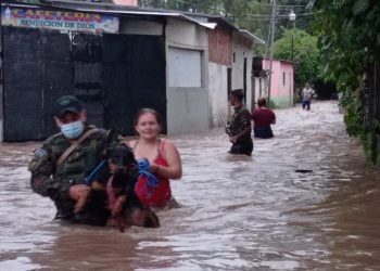 Kyara, la perra que no fue olvidada por sus dueños en las inundaciones de Citalá