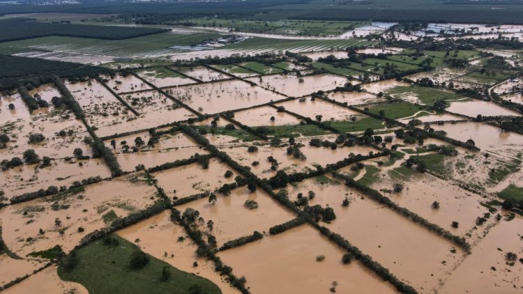Foto: AFP