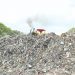Habitantes denuncian tardanza para retirar basura de Aragón