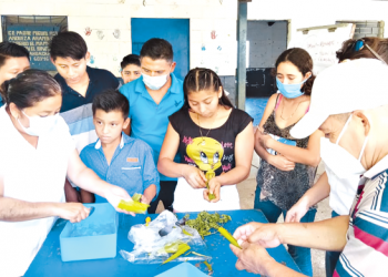 Jóvenes son capacitados en tratamiento de plantas