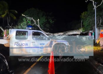 Muere motociclista al caerle árbol en calle a Placitas, en San Miguel
