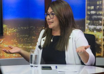Candidata de NI propone que diputados no tengan asesores