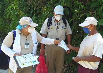 Bajan los casos de dengue en el país