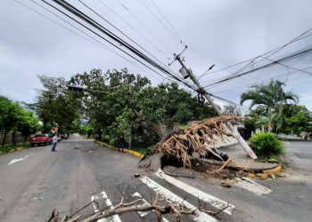 Fuertes vientos dejan árboles y vallas publicitarias caídas en San Salvador