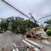 Fuertes vientos dejan árboles y vallas publicitarias caídas en San Salvador
