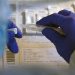 Pandemia de COVID-19 suma más de 70 millones de contagios a nivel mundial