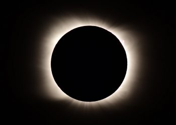 Fotos / Cae la noche en pleno día por eclipse total de sol en el sur de Chile y Argentina