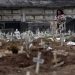 América Latina y el Caribe superan el medio millón de muertos por COVID-19