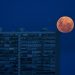 FOTOS: El 2020 se despide con la última y espectacular luna llena de la década
