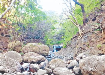 Caudal de ríos ha disminuido de forma crítica desde 2015 en El Salvador