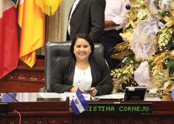 IAIP admite denuncia contra diputada Cristina Cornejo por difundir información confidencial