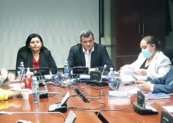 Diputados amenazan con antejuicio a ministros de Salud y Obras Públicas