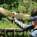 Fotos: Una mano amiga para monos, caimanes, búhos y pericos en Usulután