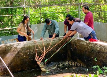 Fotos: GEORESGUARDO, un espacio de educación en Oriente