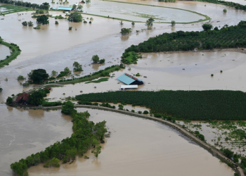 Agricultores hondureños no logran recuperarse de estragos de los huracanes