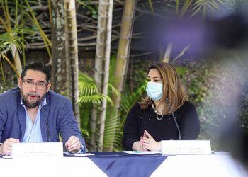 Reforma a la Constitución recibe apoyo del exterior
