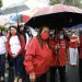 El TSE sigue pendiente de definir 12 planillas