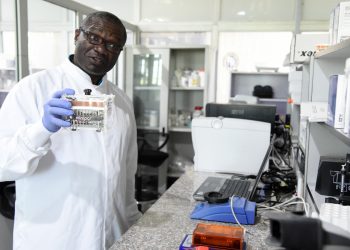 Detectan nueva cepa de coronavirus en Nigeria, África