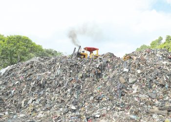Alcaldía privatiza recolección de basura, según concejal