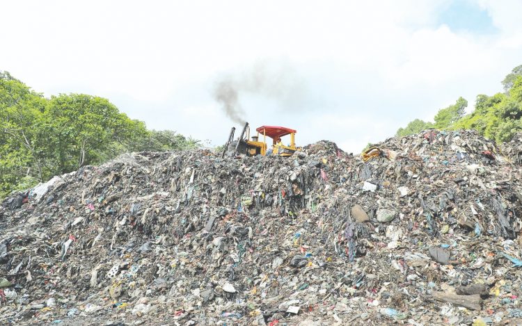 Foto: Diario El Salvador.