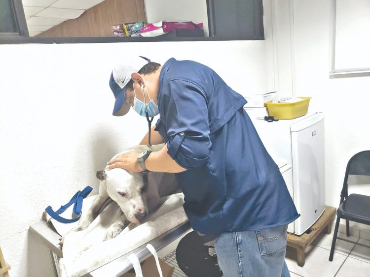 Foto: Diario El Salvador.