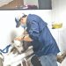 Unidad de bienestar promueve el respeto animal