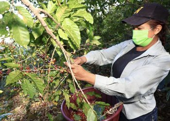 FUNDAGEO busca elevar la calidad de vida de las comunidades